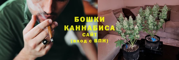 спайс Баксан