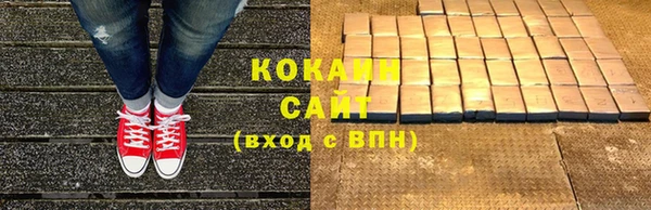 индика Белоозёрский