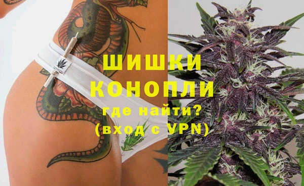 спайс Баксан