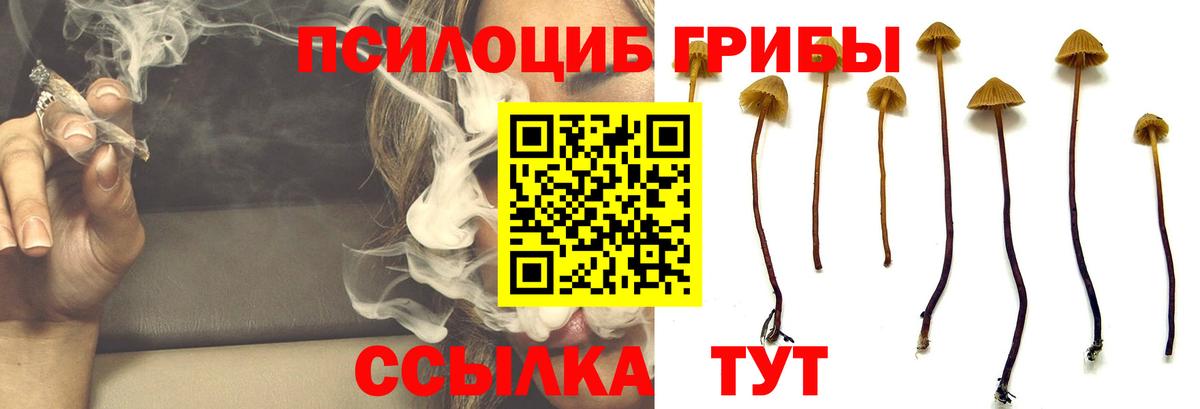 Галлюциногенные грибы Magic Shrooms Печора