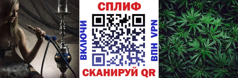 дарнет шоп  Печора  гидра сайт  МАРИХУАНА тримм 